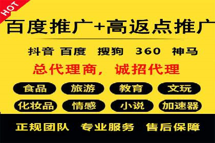 SEM推广案例：提升网站转化率策略解析